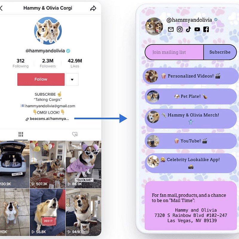 Kiếm tiền từ TikTok Affiliate