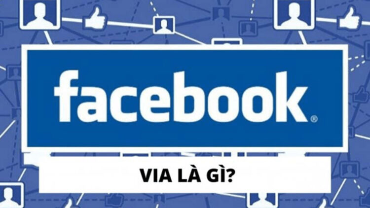 Via facebook là gì? Bật mí về cách nuôi và sử dụng Via Facebook