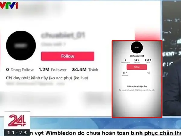 Các loại content 'viral' phổ biến khi xây dựng kênh TikTok (19)