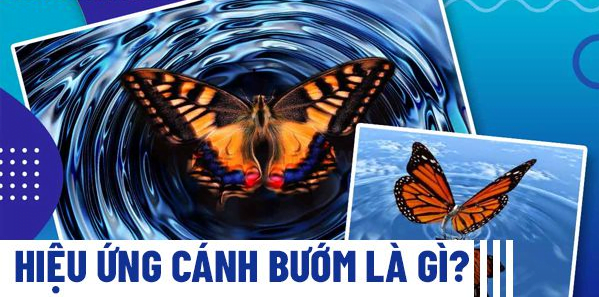 Hiệu ứng cánh bướm là gì? Chiến lược hiệu ứng cánh bướm trong Marketing