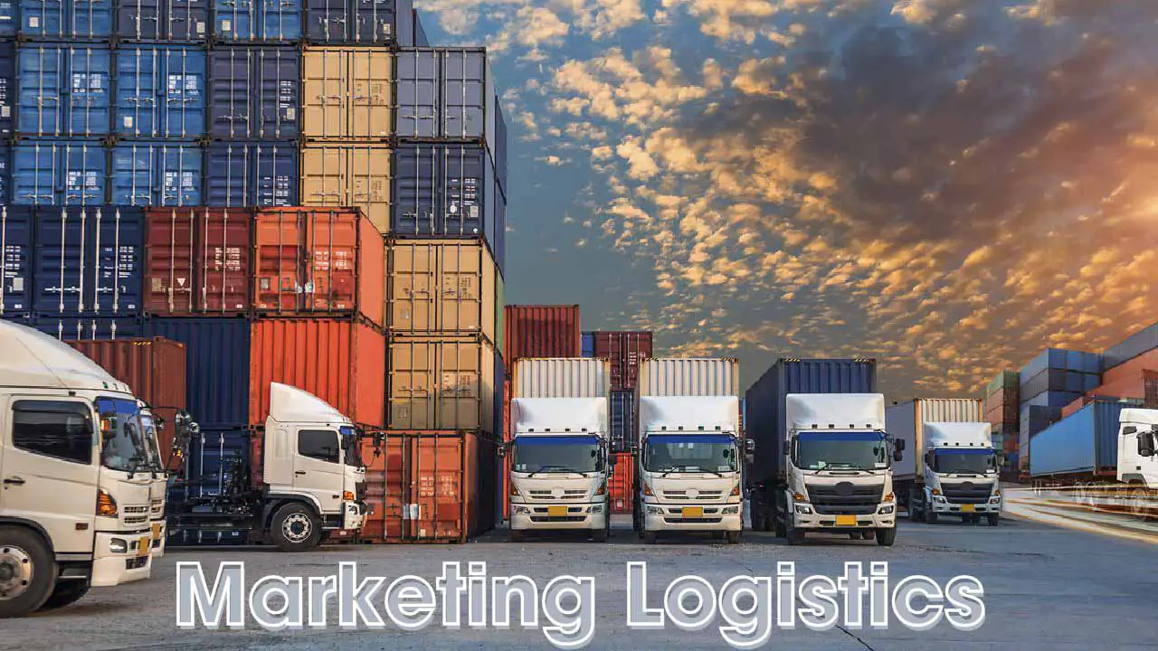 Marketing Logistics - Giải pháp kết nối hiệu quả giữa doanh nghiệp và khách hàng